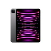 IPAD PRO 11 CELLULAR  256GB GREY