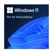 SW OEM WIN 11 PRO WRKSTNS 64B/ENG 1PK DVD  MS
